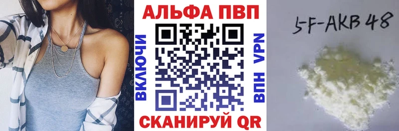 A PVP СК  Волгореченск 