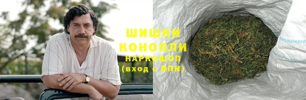 каннабис Белокуриха