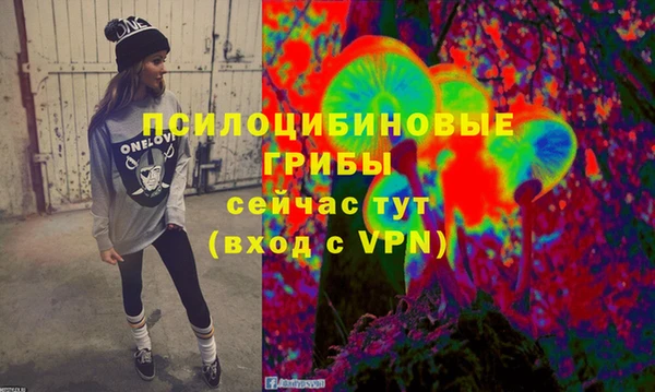 каннабис Белокуриха