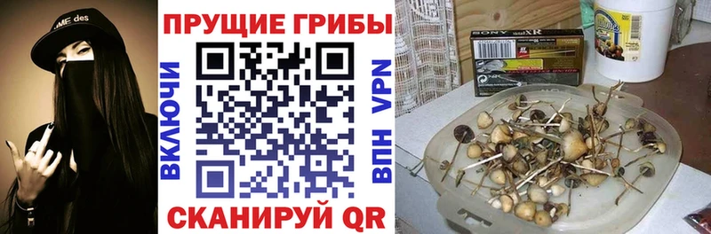 Галлюциногенные грибы прущие грибы Волгореченск