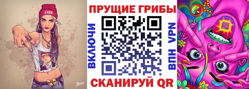 Галлюциногенные грибы Psilocybe Волгореченск